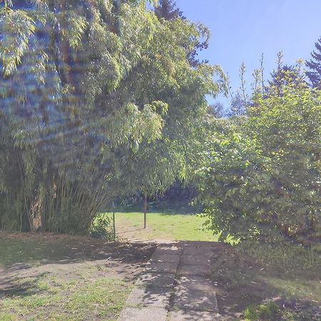 Wohnung In St Poelten ซังคท์เพิลเทน ภายนอก รูปภาพ
